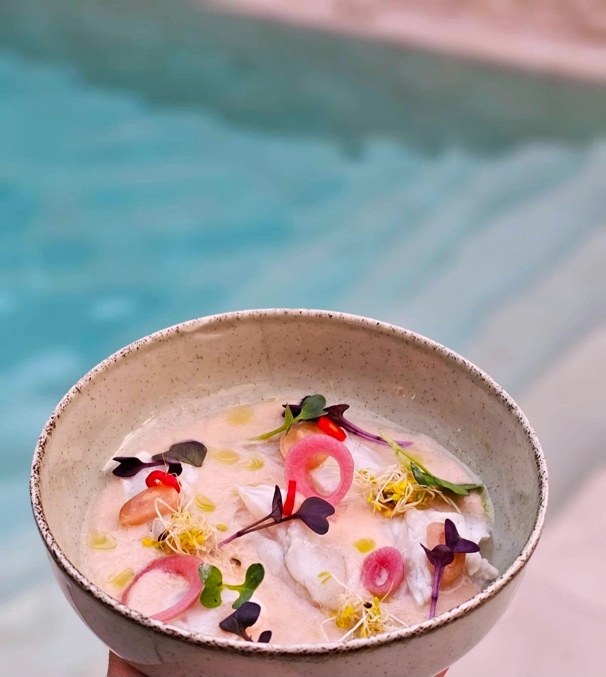 WhatsApp Slika 2025-10-08 u 22.22.23_46c924e7.jpg