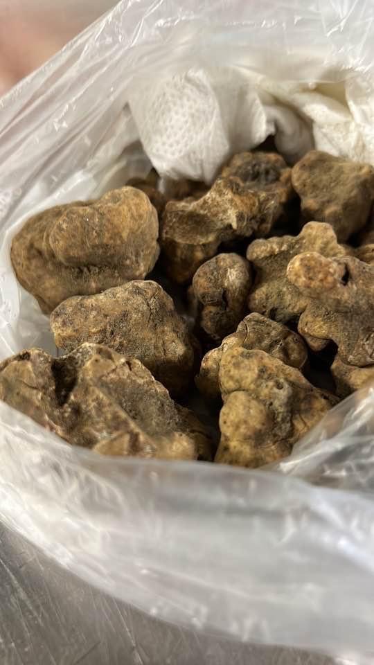 IMG_7907.jpeg IMG_7907.jpeg