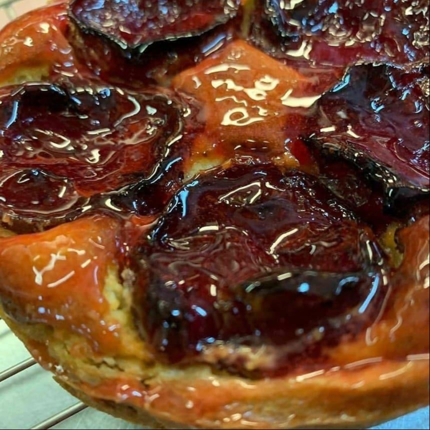 IMG_3309.jpeg IMG_3309.jpeg