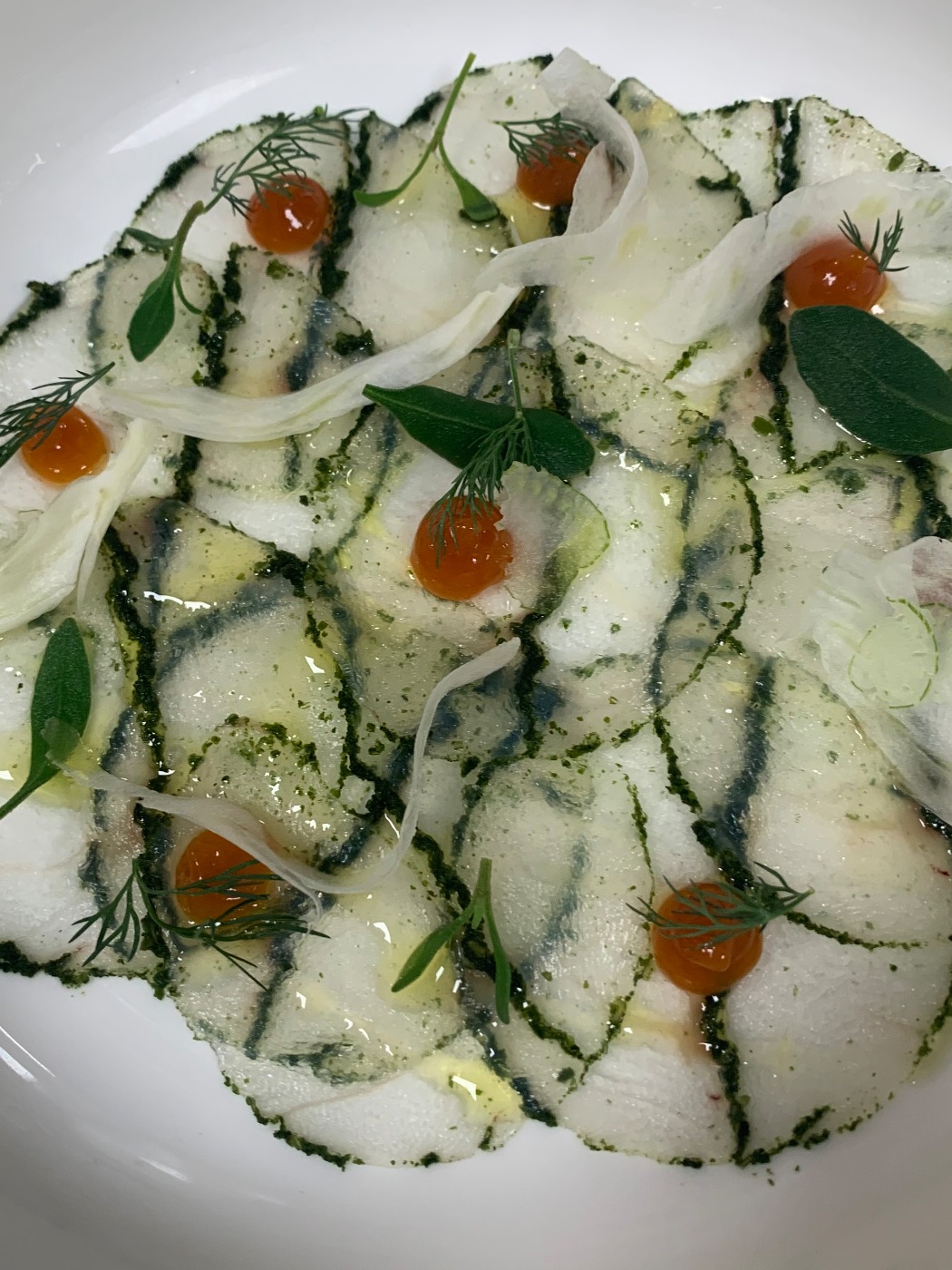 IMG_4143.jpeg IMG_4143.jpeg