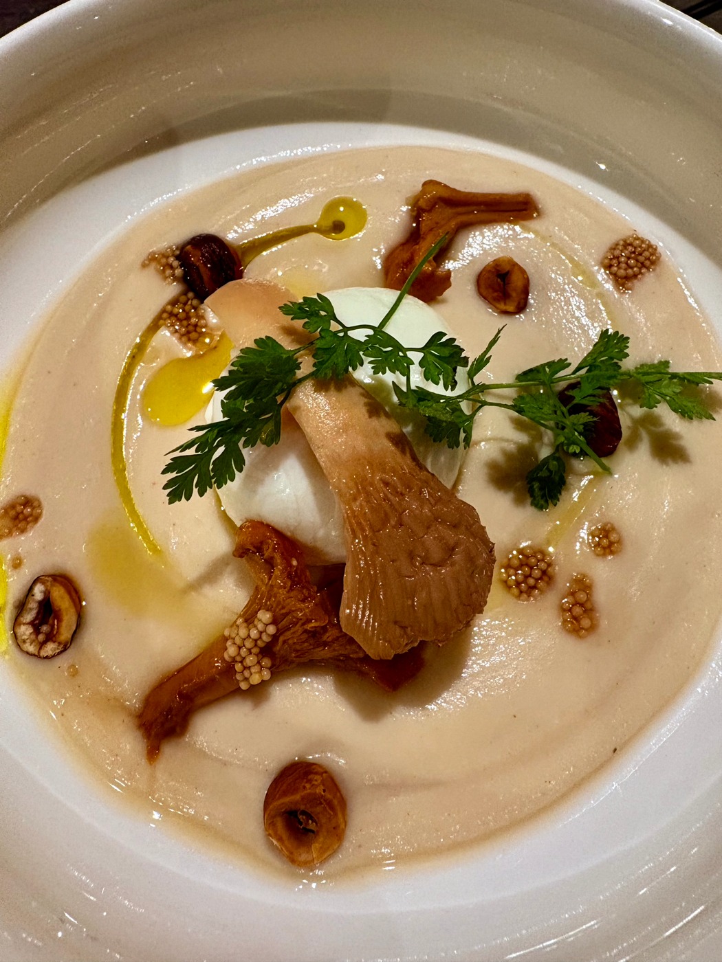 IMG_8571.jpeg IMG_8571.jpeg