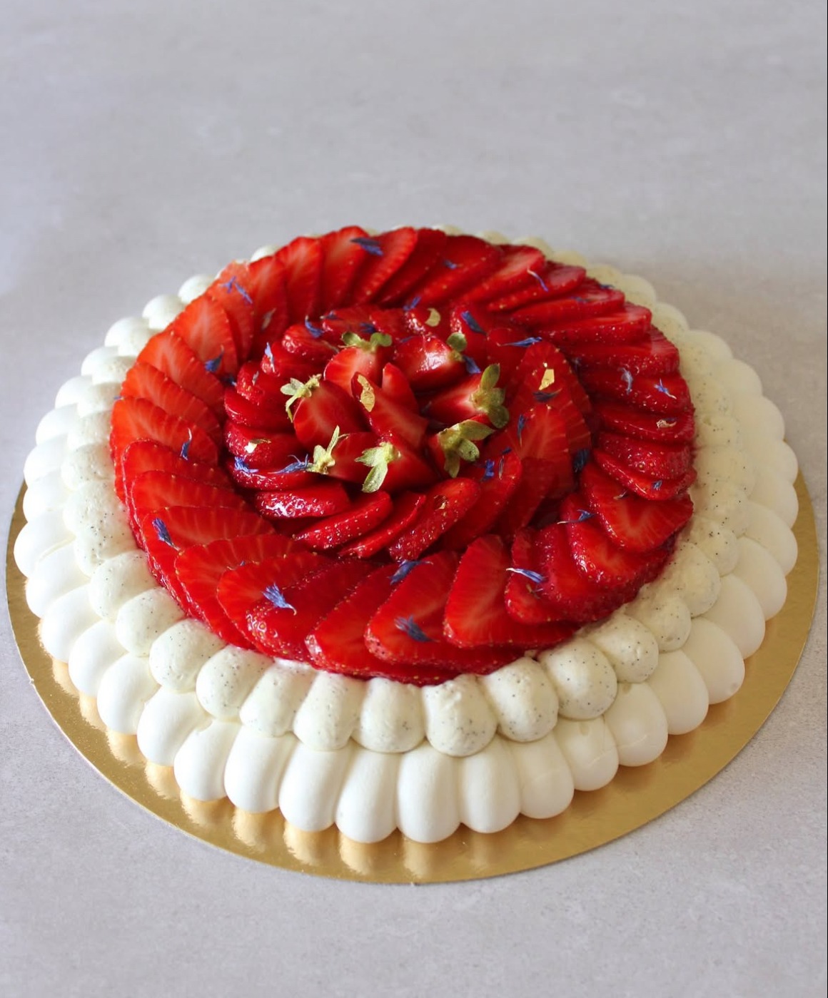 IMG_7726.jpeg IMG_7726.jpeg