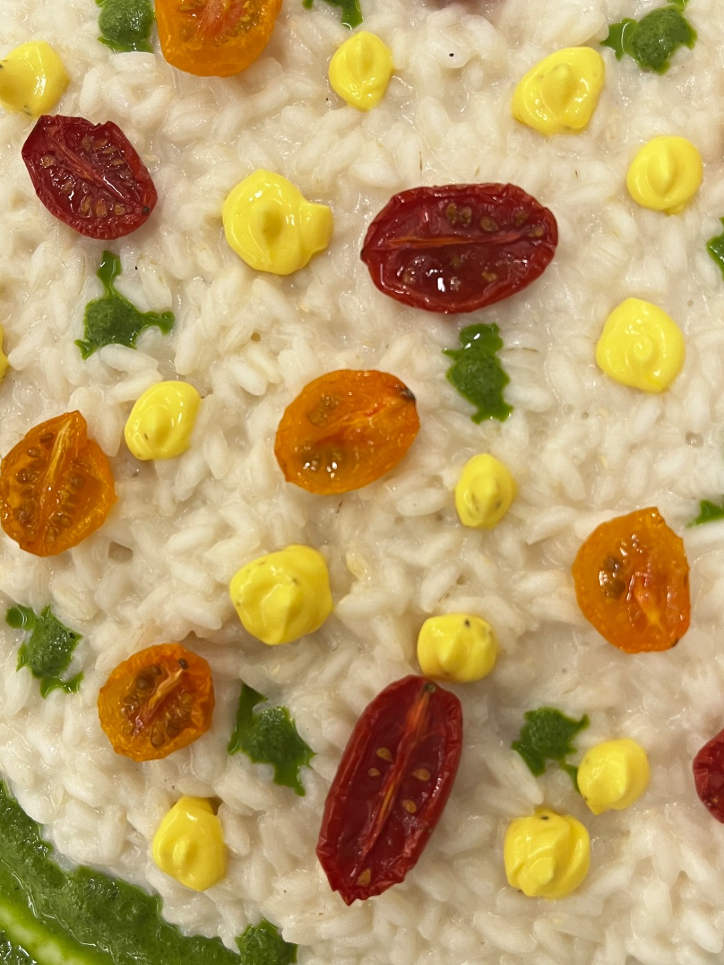 IMG_9262.jpeg IMG_9262.jpeg