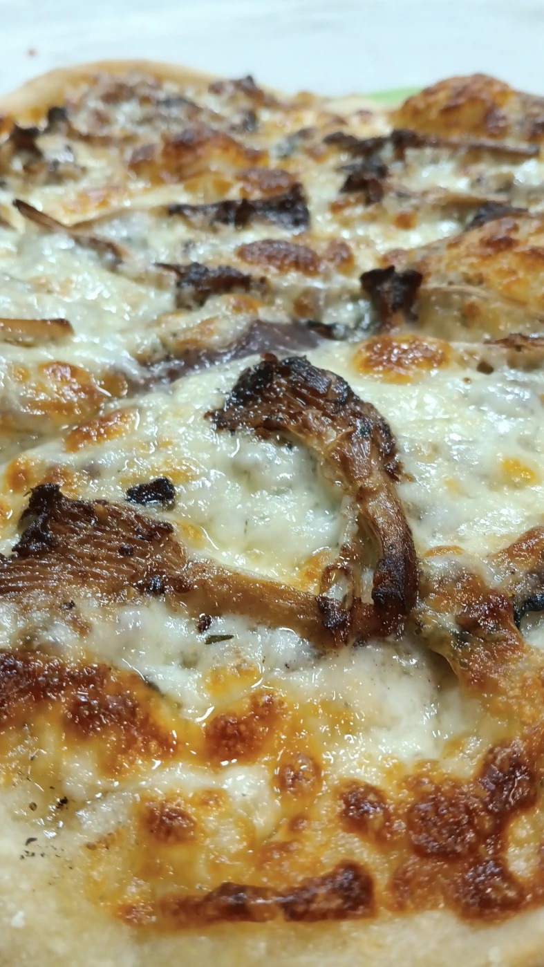 987217ed-2e84-4578-889a-5dc82a550e8b-1_all_1727.jpg 987217ed-2e84-4578-889a-5dc82a550e8b-1_all_1727.jpg