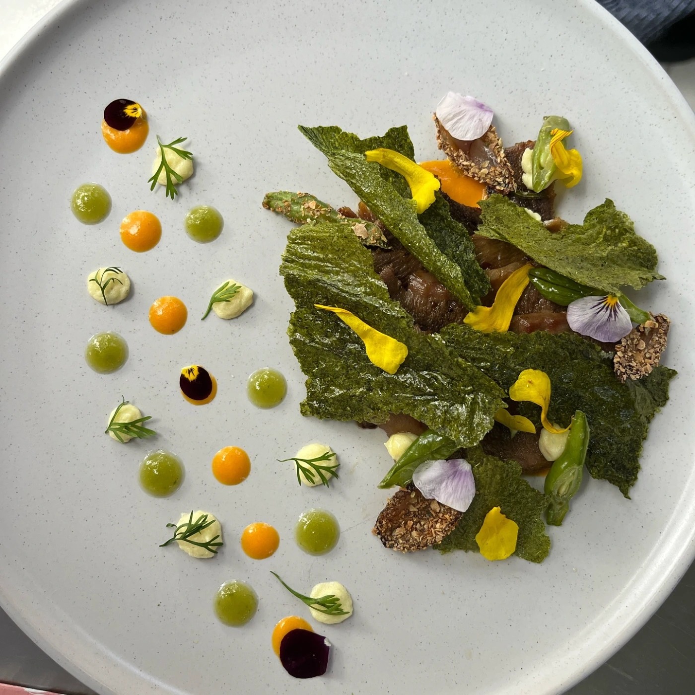 455006126_1657618028411667_2052551685417618965_n.jpg 455006126_1657618028411667_2052551685417618965_n.jpg