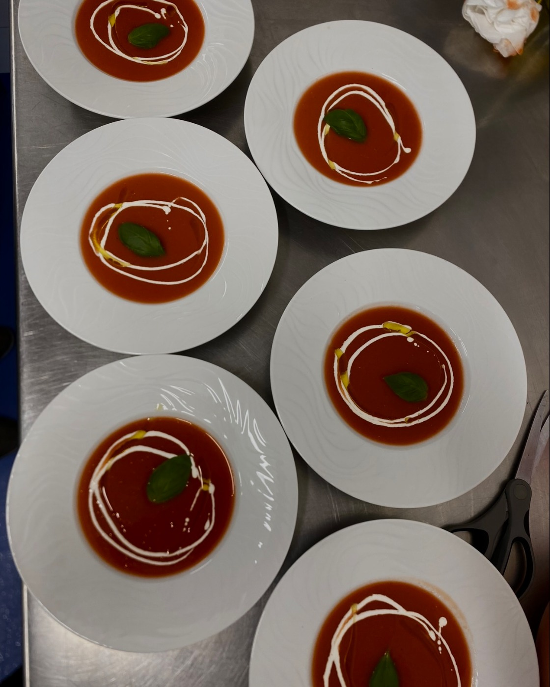 IMG_6480.jpeg IMG_6480.jpeg