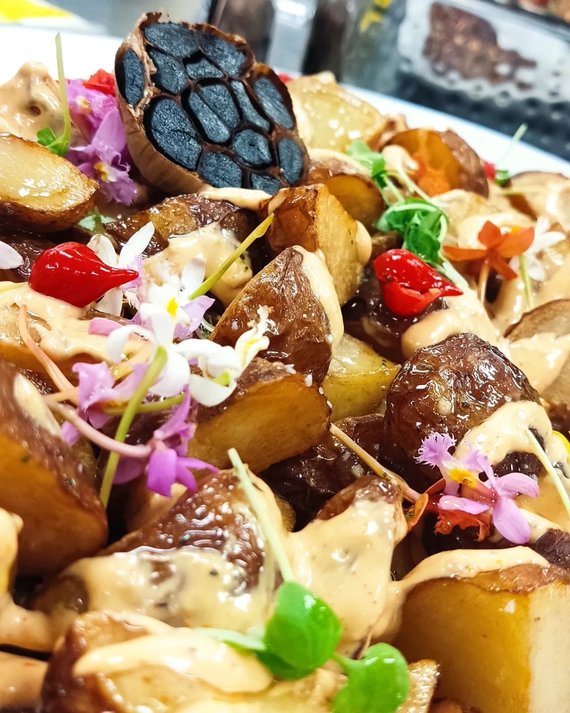 IMG_20220926_124426_901.jpg IMG_20220926_124426_901.jpg