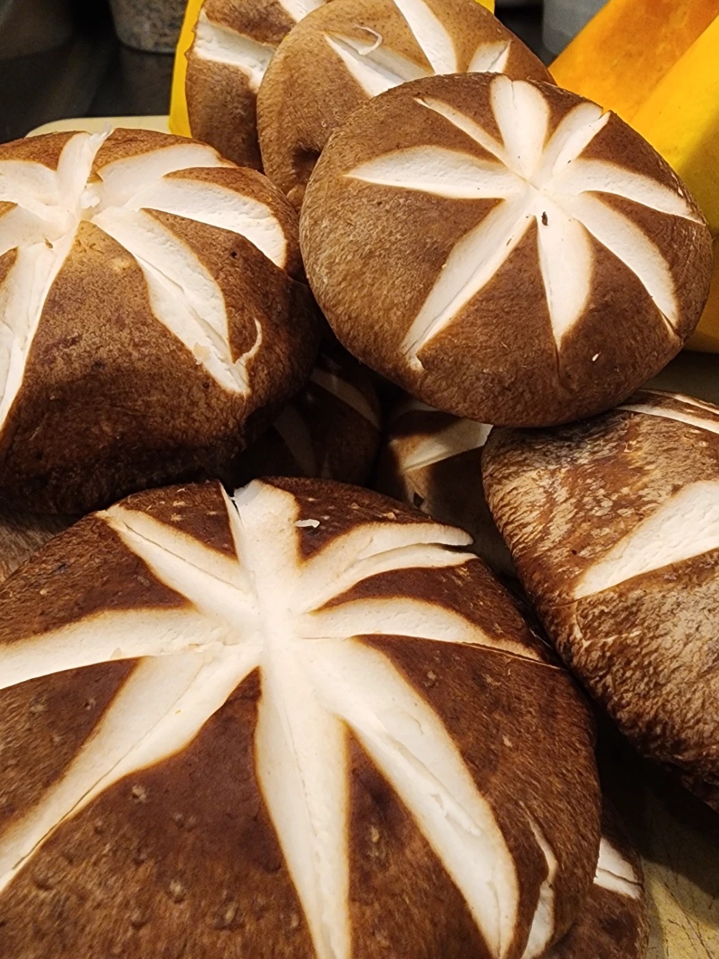 20240925_165904.jpg 20240925_165904.jpg