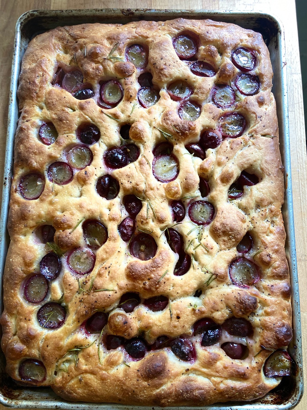 IMG_0008.jpeg IMG_0008.jpeg