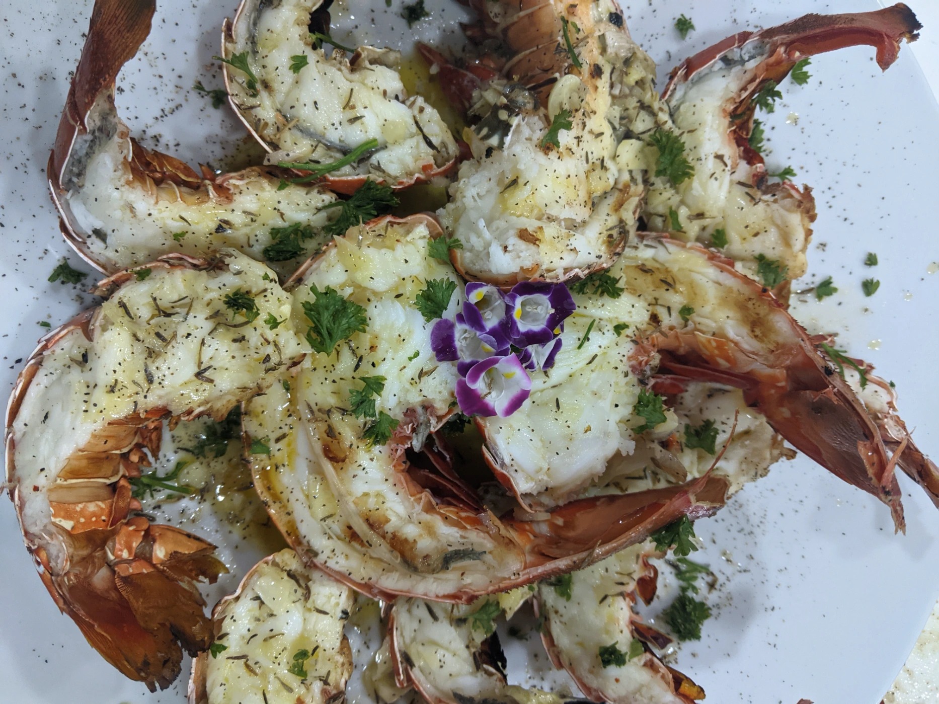 PXL_20240402_000259325.jpg PXL_20240402_000259325.jpg