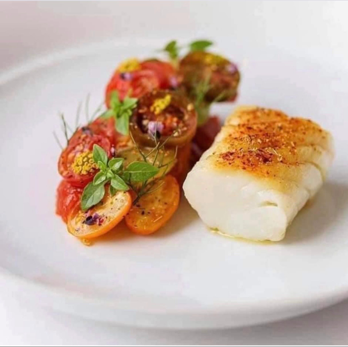 IMG_5746.jpeg IMG_5746.jpeg