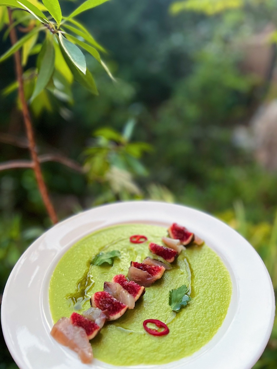 FullSizeRender_VSCO 2 copia.JPG FullSizeRender_VSCO 2 copia.JPG