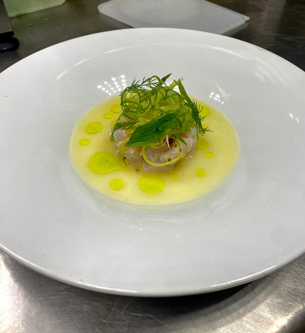 IMG_2978.jpeg IMG_2978.jpeg