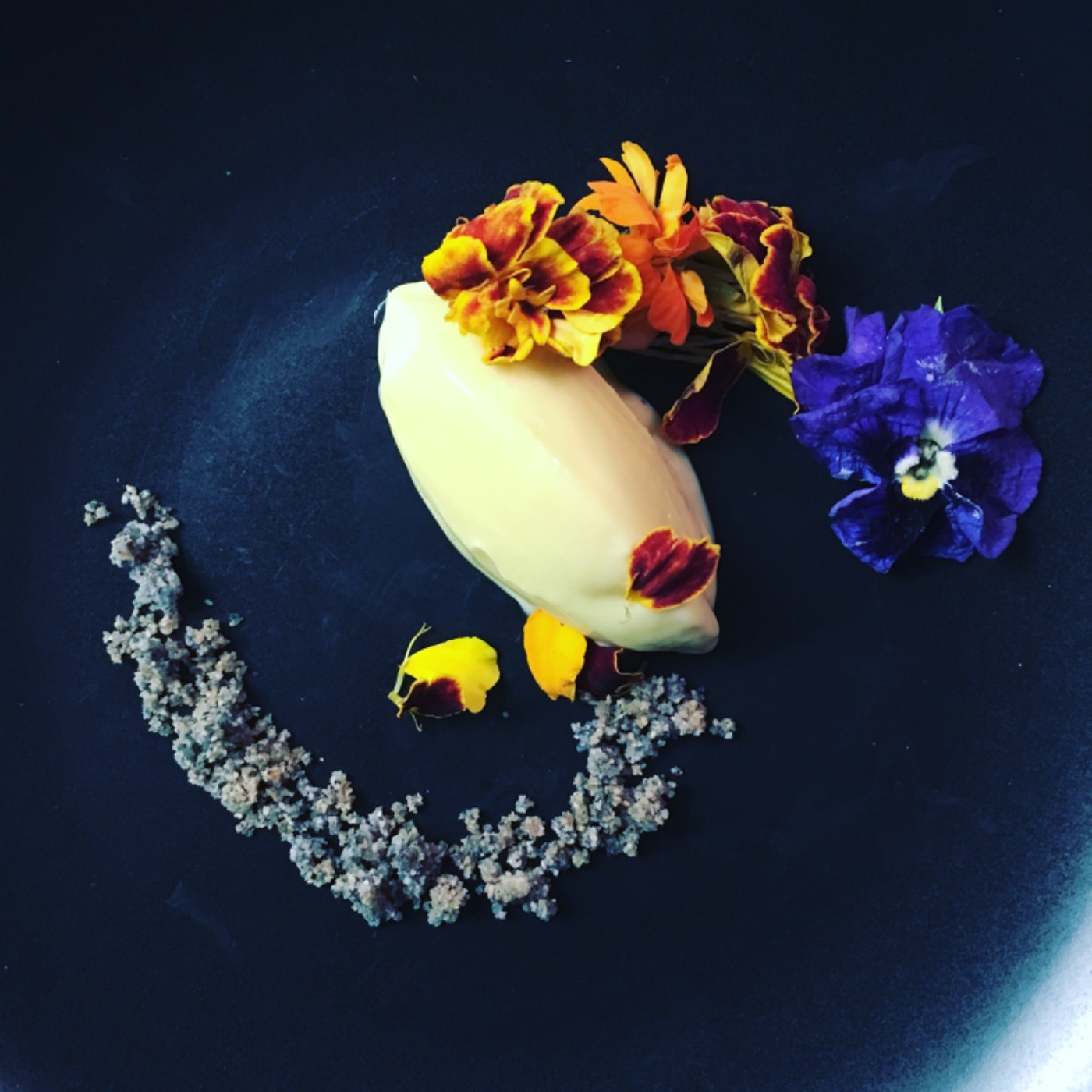 IMG_3968.jpeg IMG_3968.jpeg