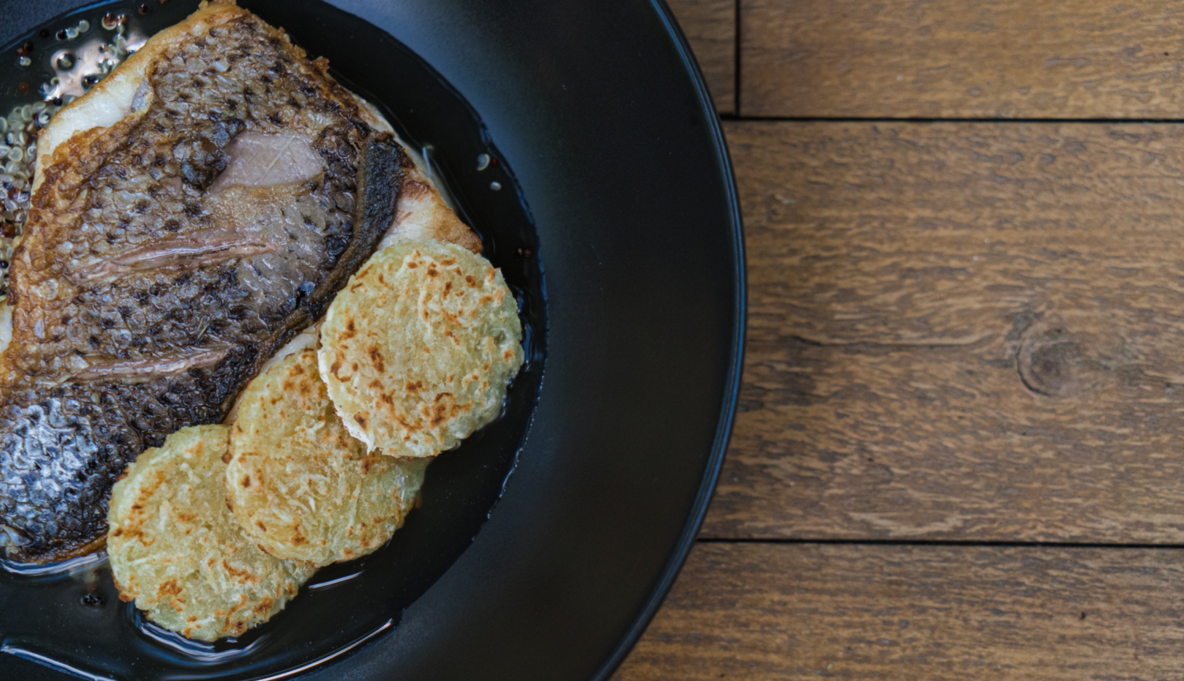 fish-22.jpeg fish-22.jpeg