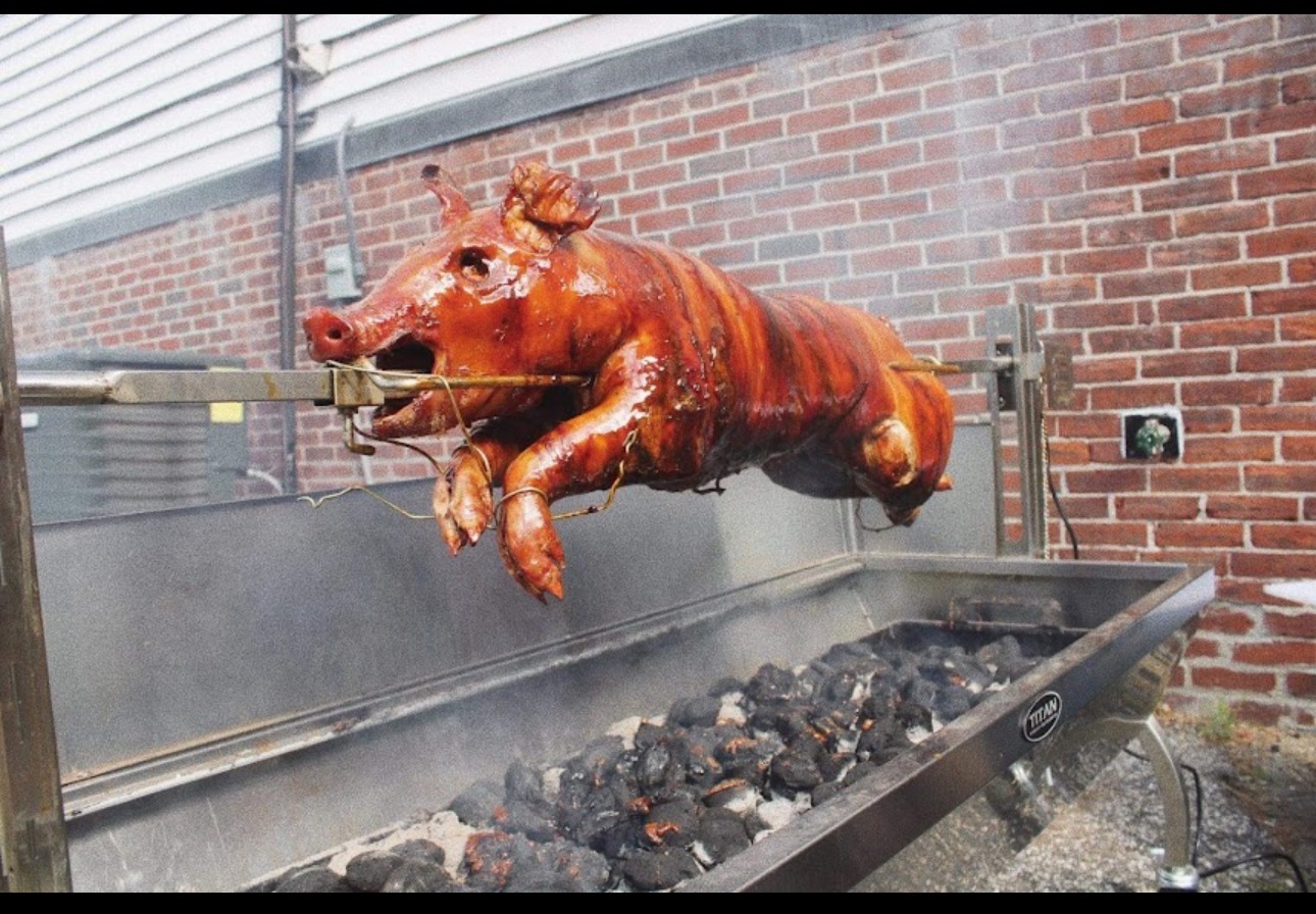 IMG_7305.jpeg IMG_7305.jpeg