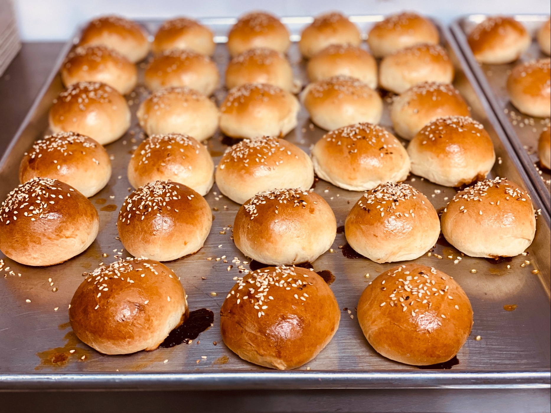 IMG_3952.jpeg IMG_3952.jpeg