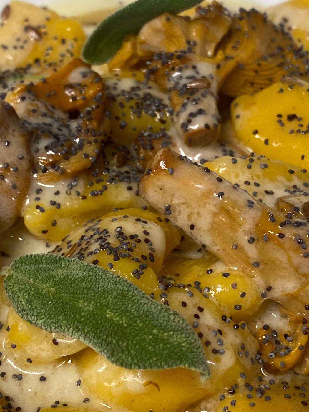 IMG_4345.jpeg IMG_4345.jpeg