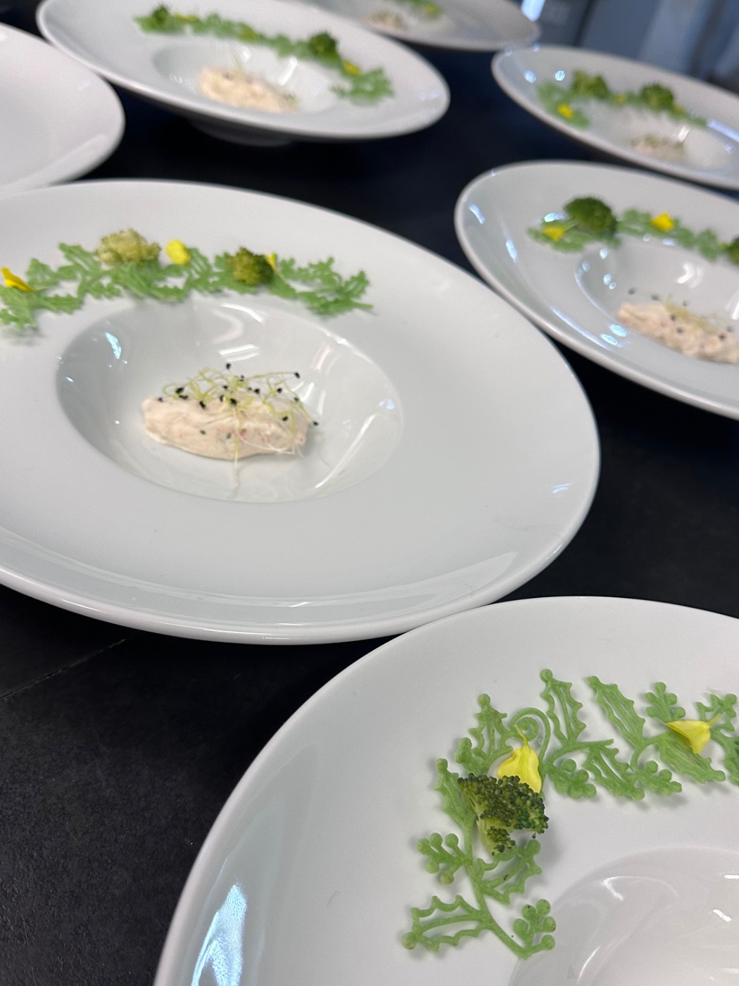 IMG_6039.jpeg IMG_6039.jpeg