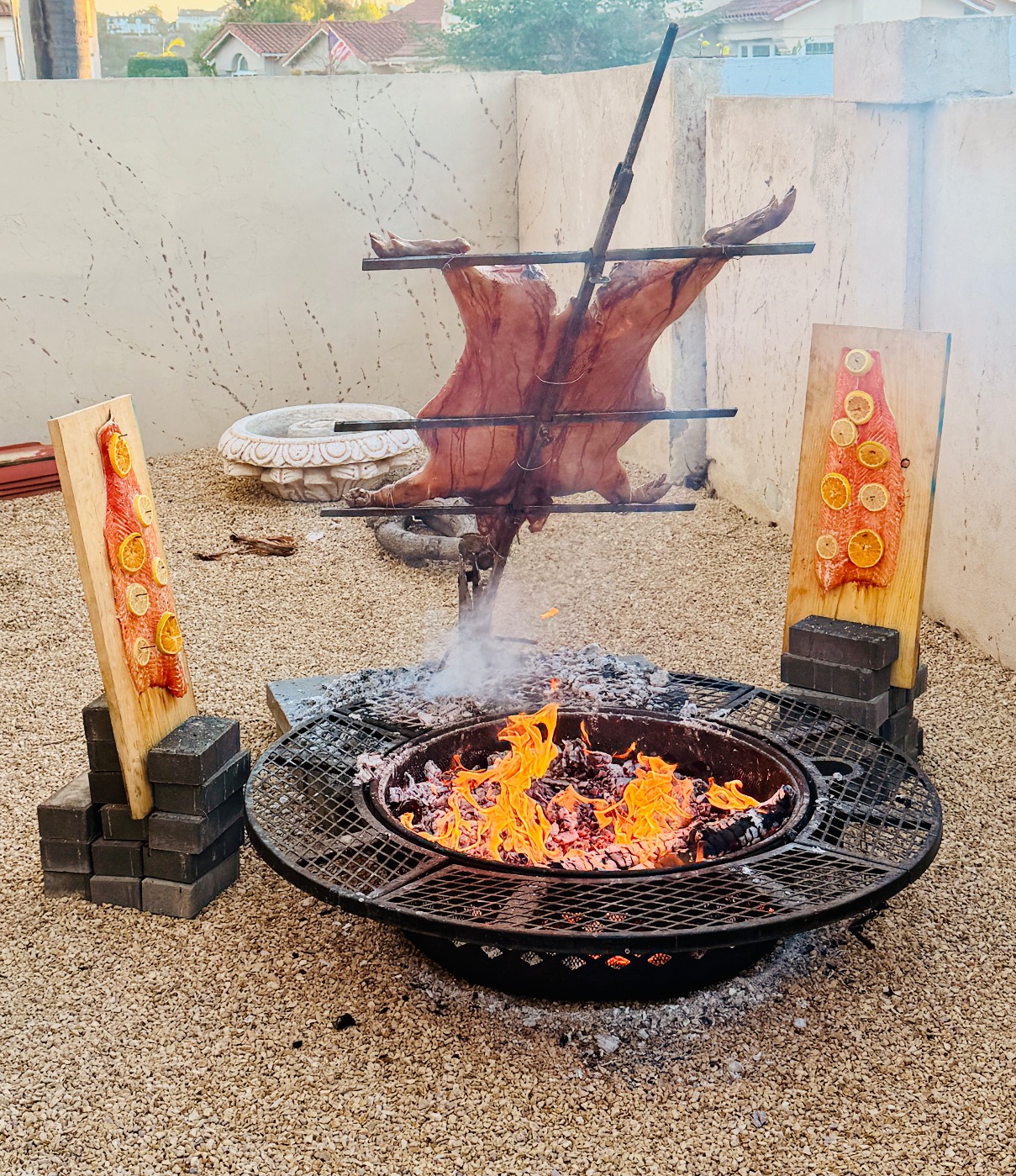 IMG_3435.jpeg IMG_3435.jpeg