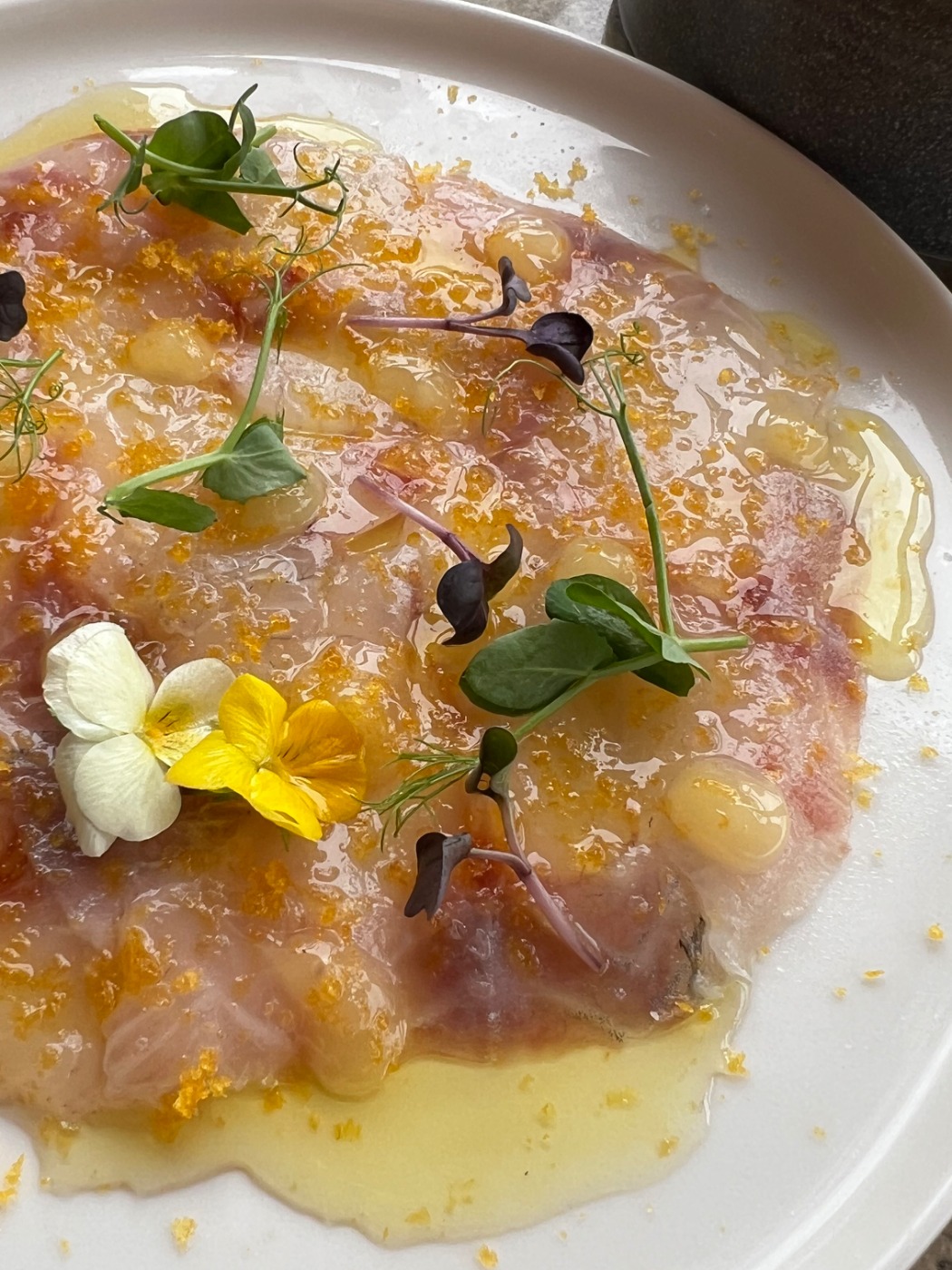 IMG_7572.jpeg IMG_7572.jpeg