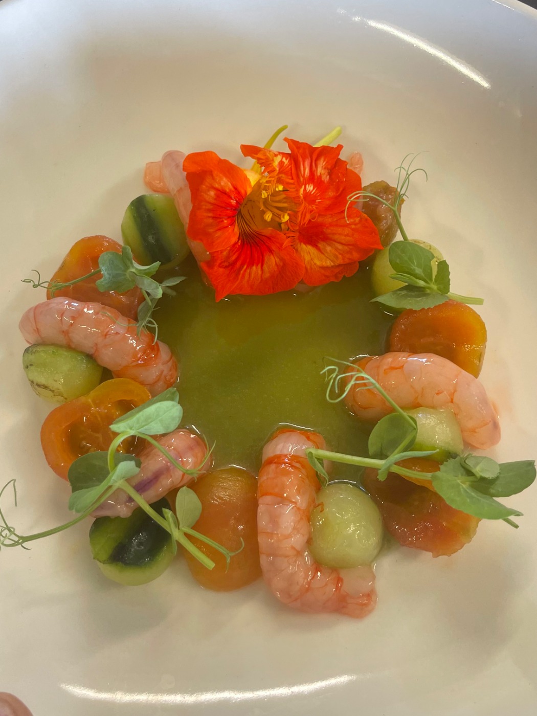 IMG_7423.jpeg IMG_7423.jpeg