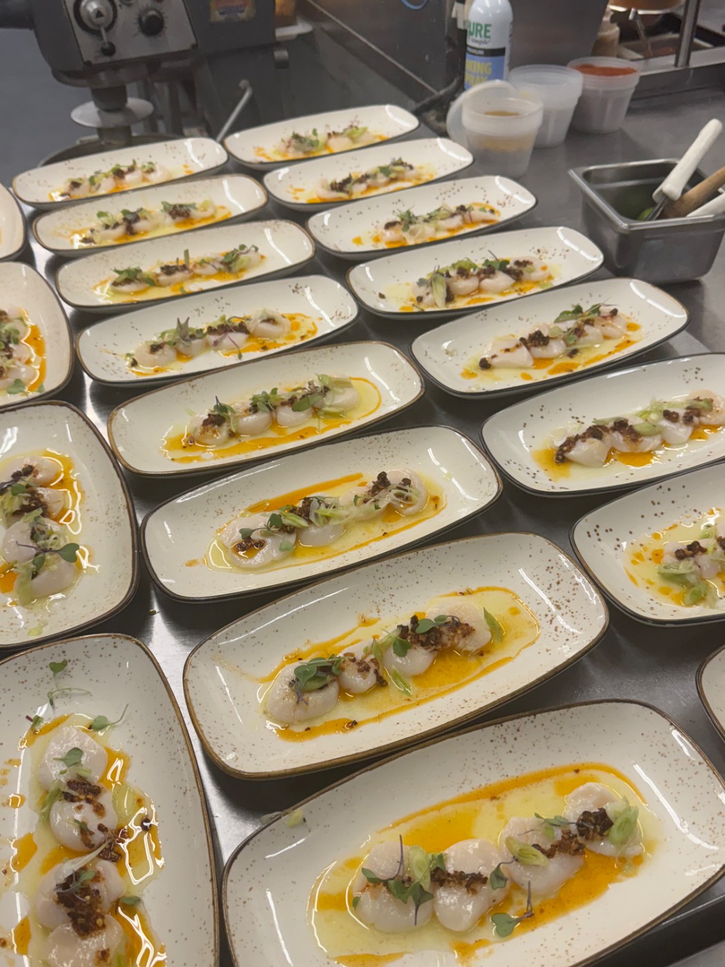 IMG_9667.jpeg IMG_9667.jpeg