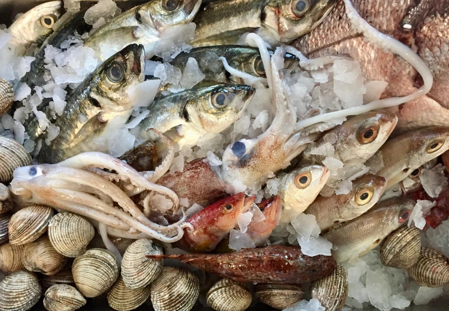 Essenza del mediterraneo