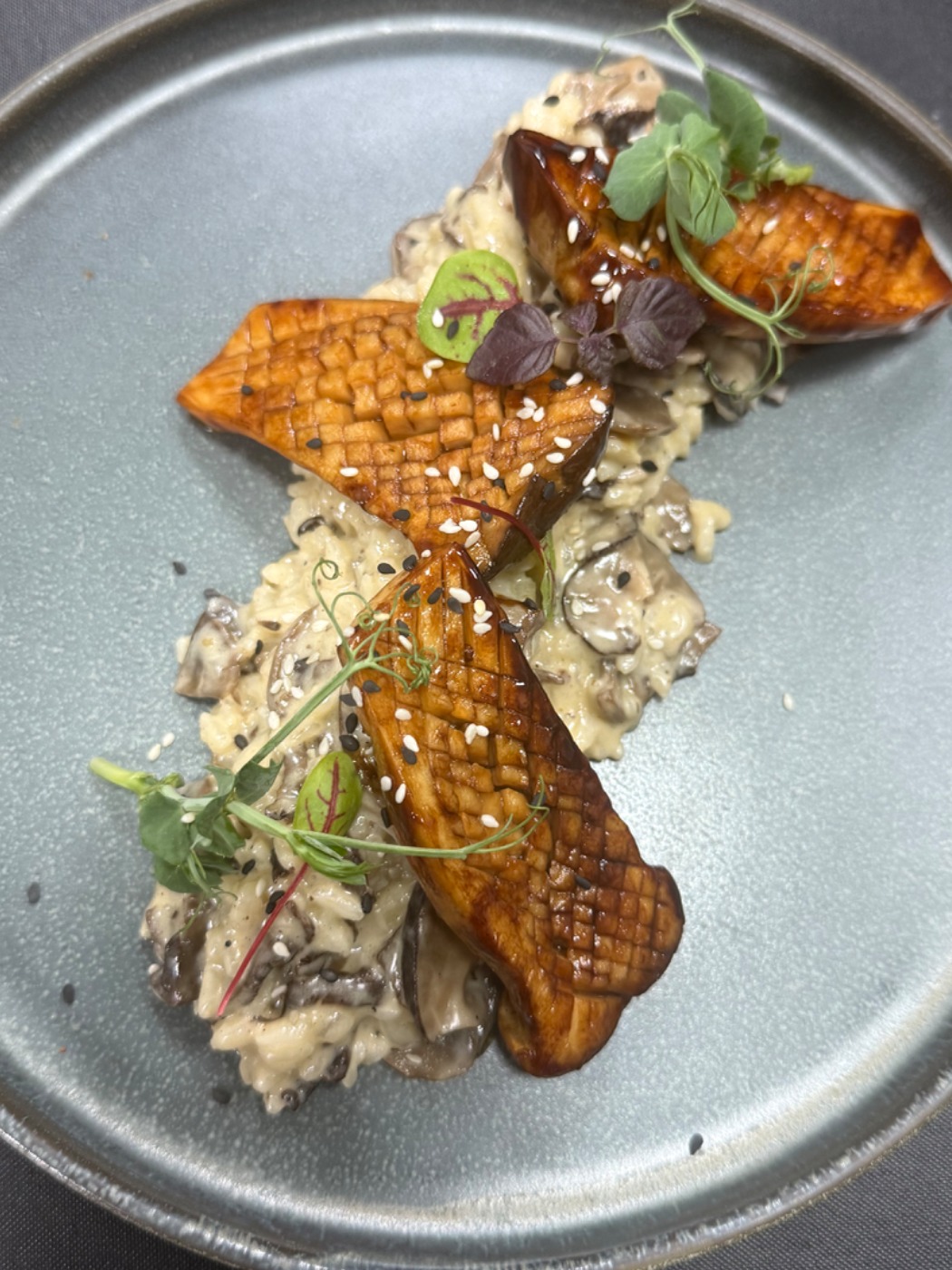 IMG_4782.jpeg IMG_4782.jpeg