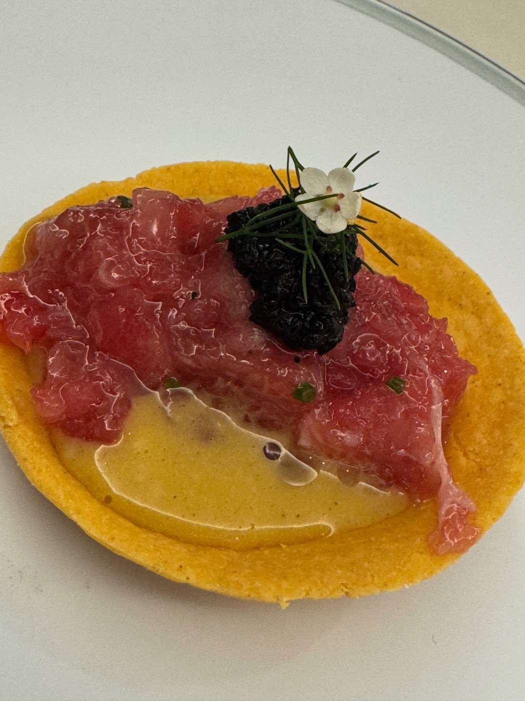 D80B6679-A56F-4190-BC08-F9745365E951.jpeg D80B6679-A56F-4190-BC08-F9745365E951.jpeg