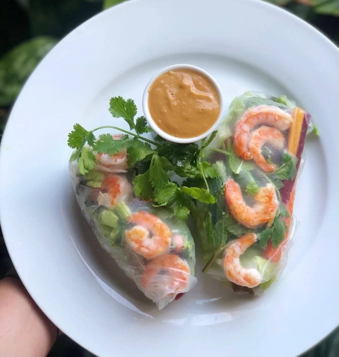 spring rolls.jpeg spring rolls.jpeg