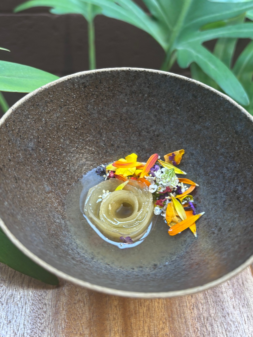 IMG_1591.jpeg IMG_1591.jpeg