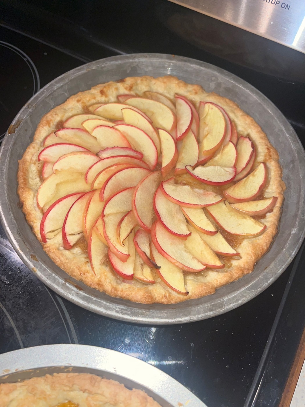 IMG_2221.jpeg IMG_2221.jpeg