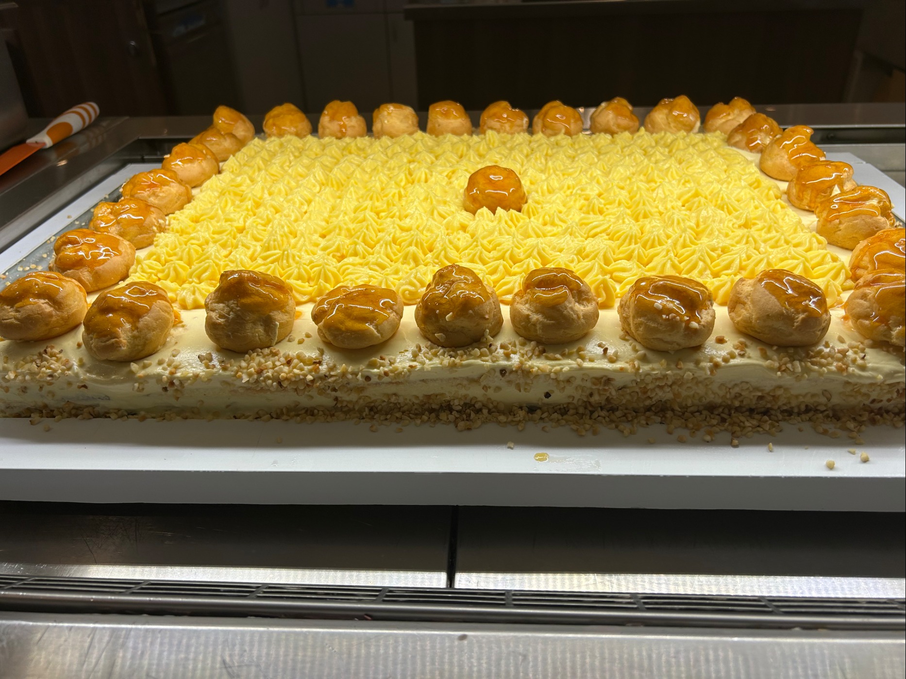 IMG_5978.jpeg IMG_5978.jpeg