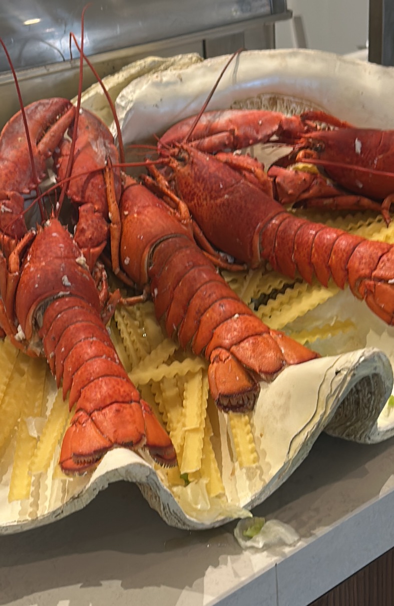 46990216-BFC4-435F-99AF-D178F2C53549.jpeg 46990216-BFC4-435F-99AF-D178F2C53549.jpeg