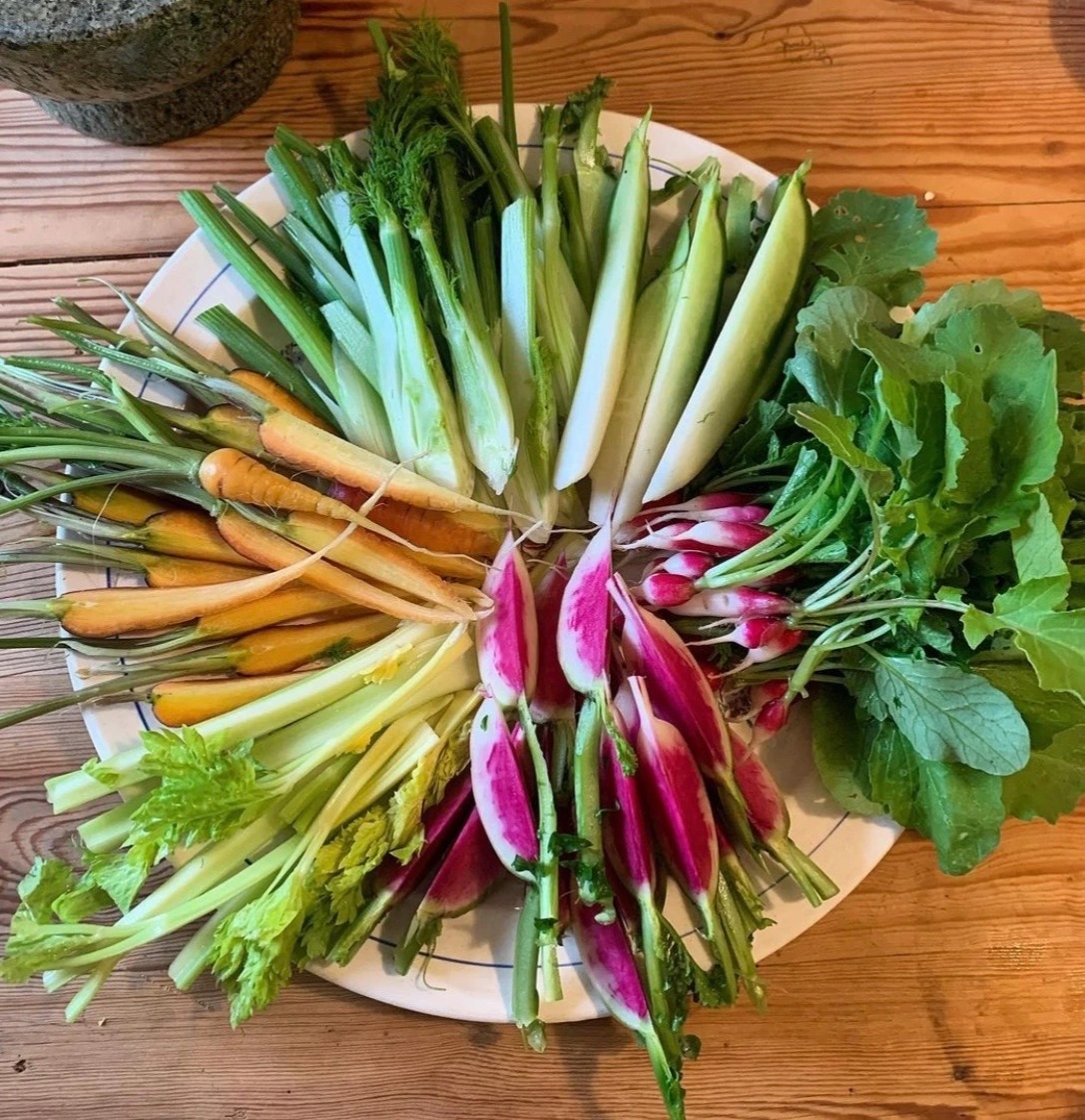 IMG_3039.jpeg IMG_3039.jpeg