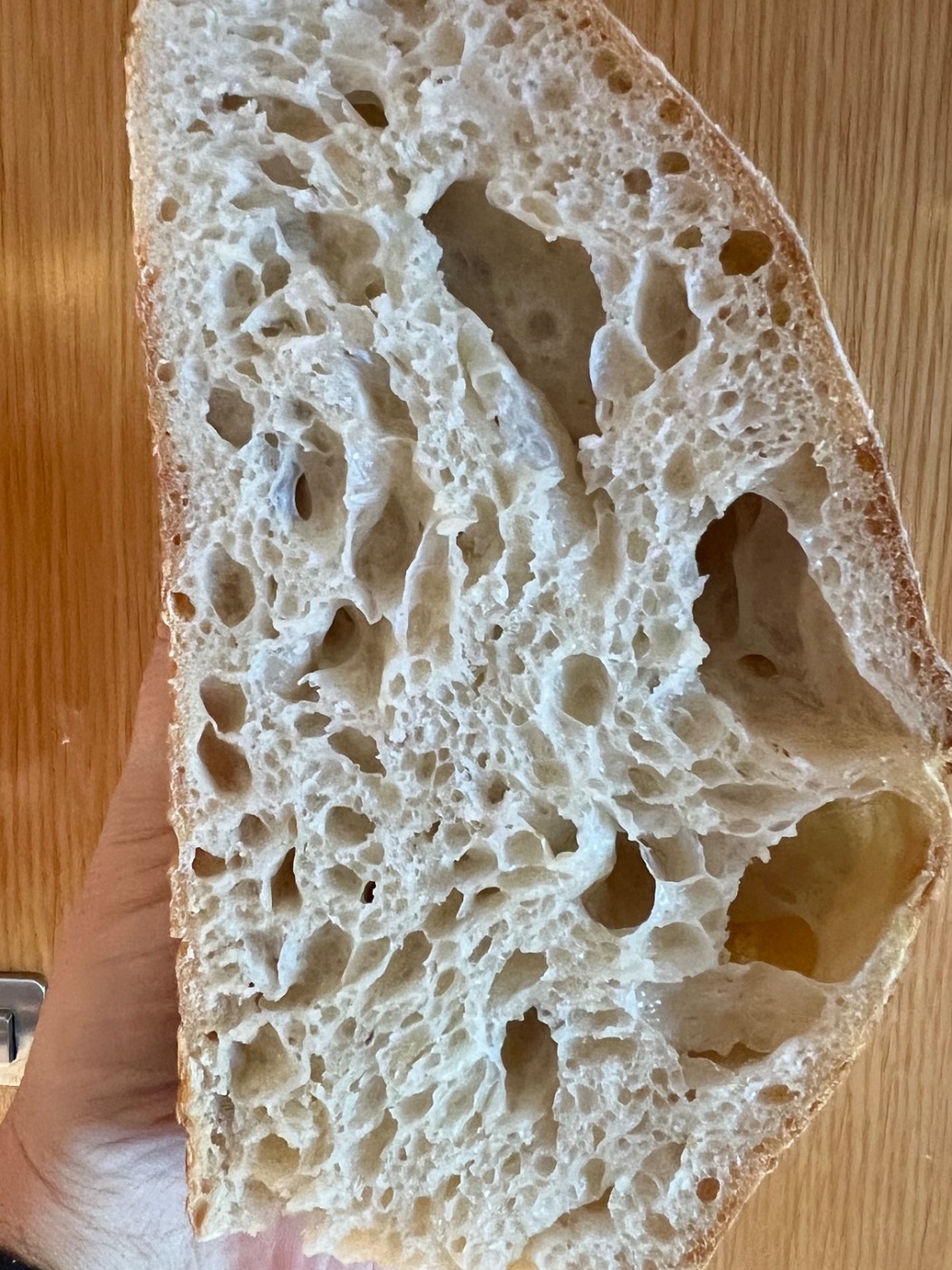 IMG_9930.jpeg IMG_9930.jpeg