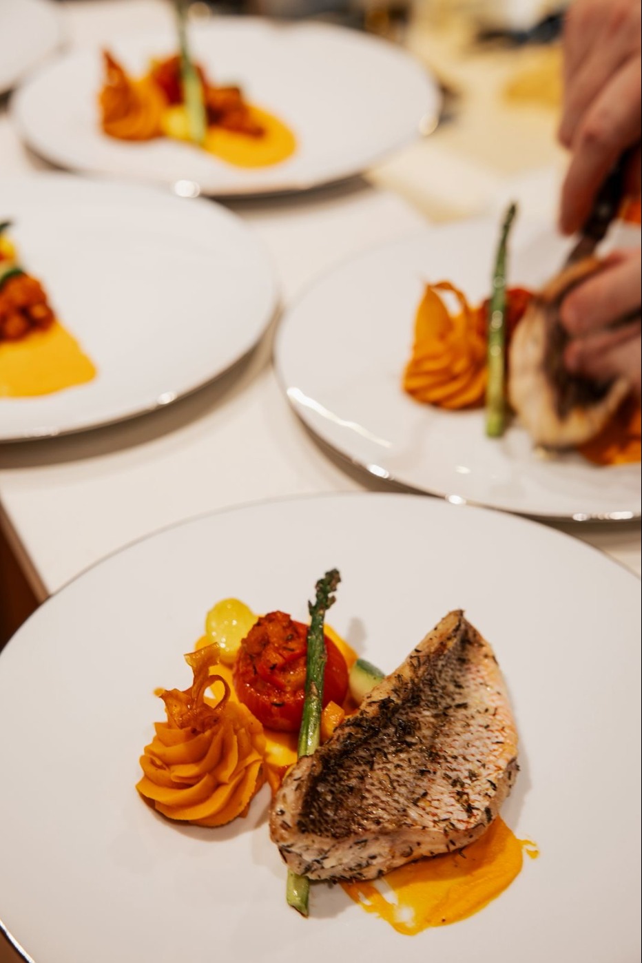 aad0d44d-4b82-46e5-944a-5903cd5ad1c2.jpeg aad0d44d-4b82-46e5-944a-5903cd5ad1c2.jpeg