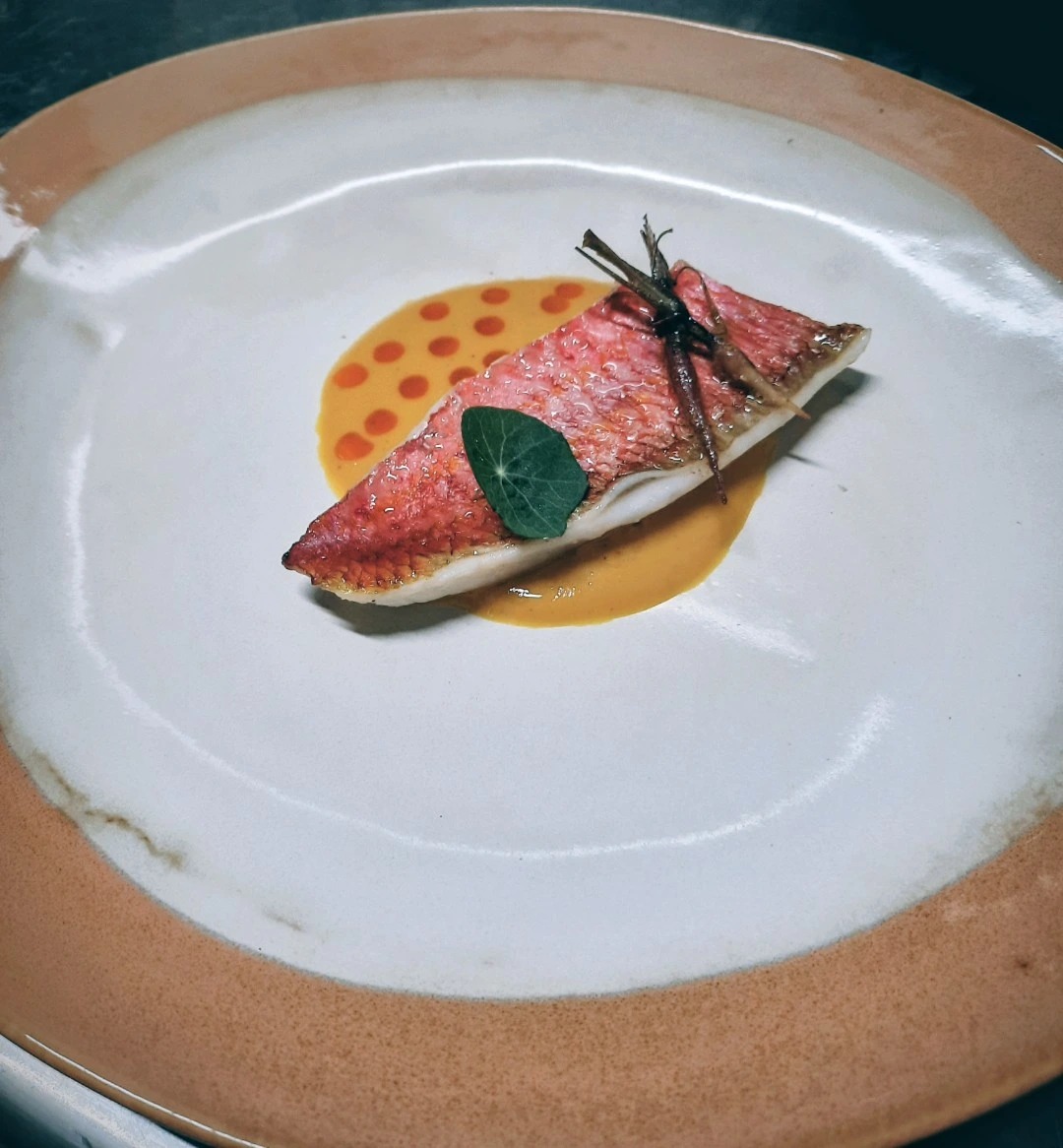 1000025905.png 1000025905.png