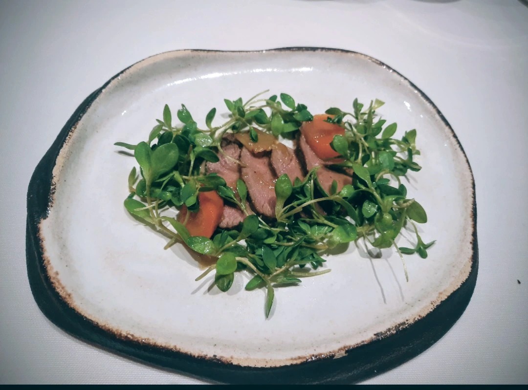 1000025911.png 1000025911.png