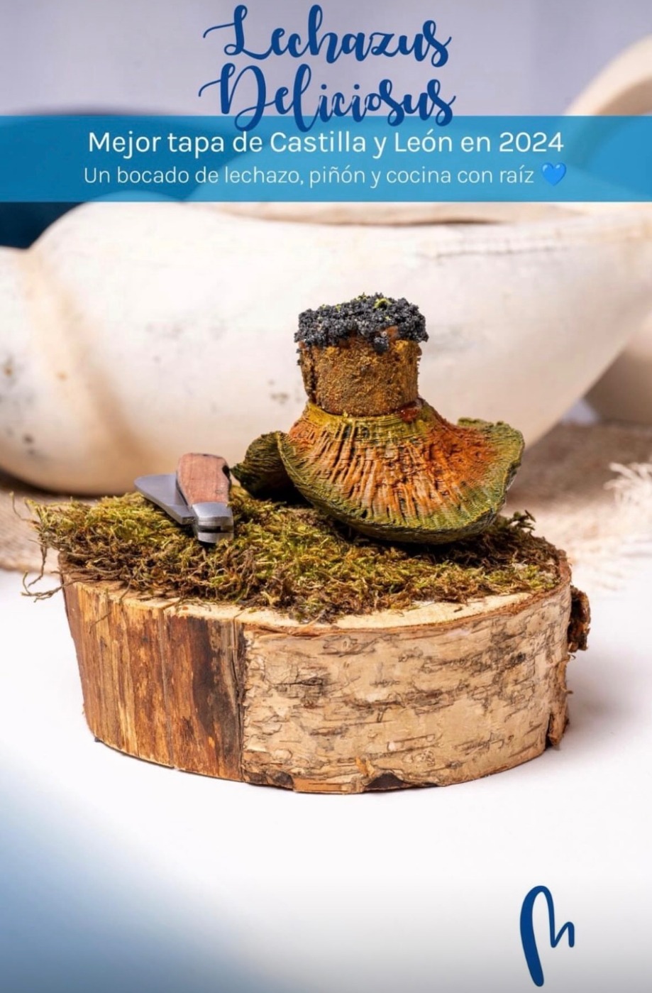 IMG_5056.jpeg IMG_5056.jpeg