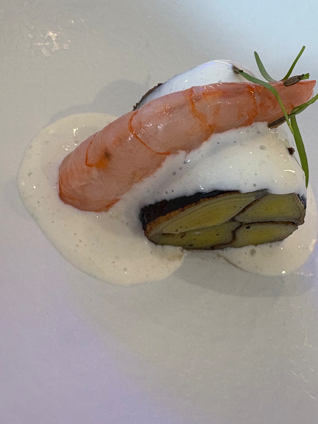 IMG_4714.jpeg IMG_4714.jpeg