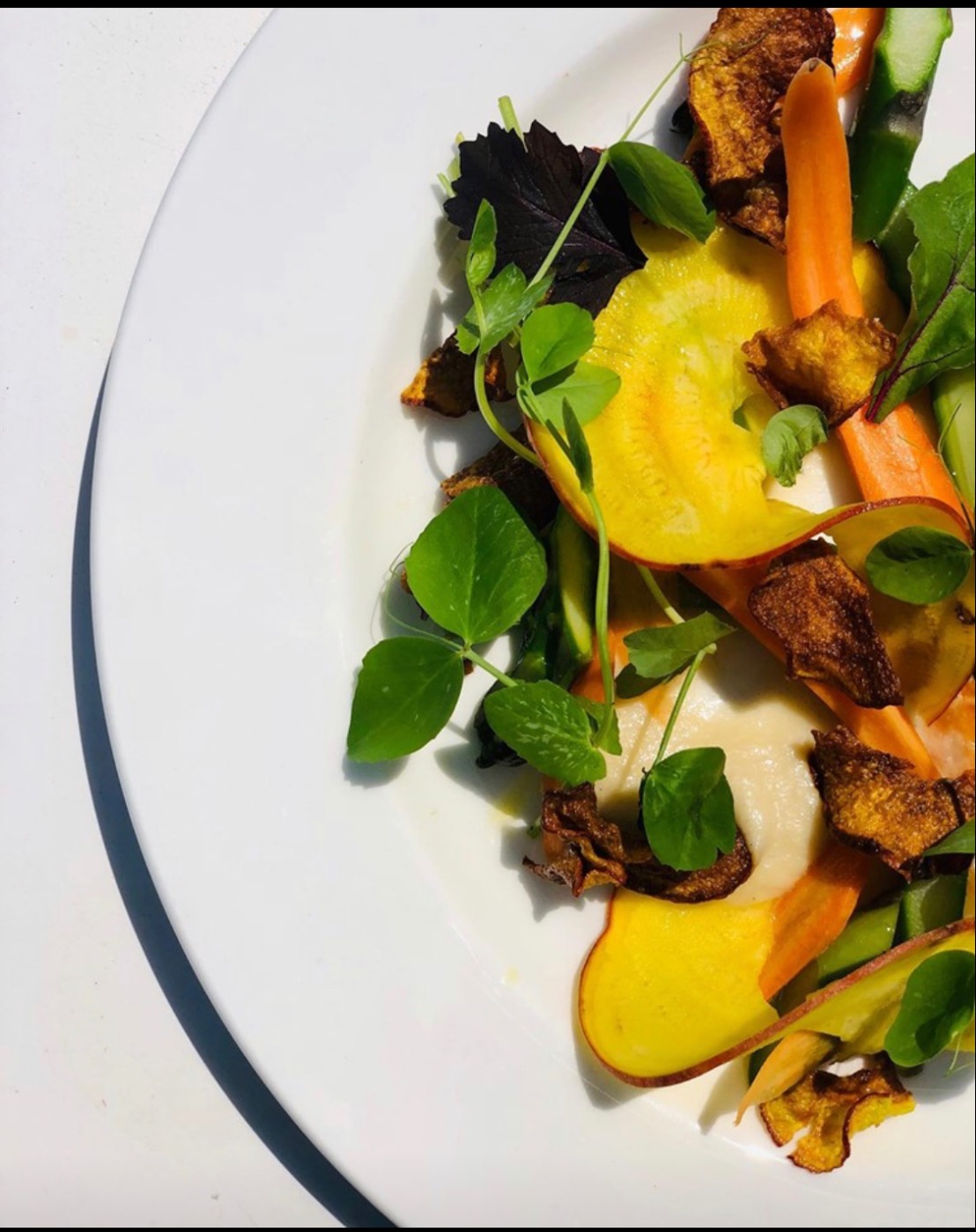 IMG_5121.jpeg IMG_5121.jpeg