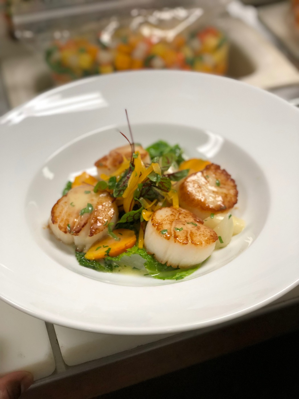 IMG_3394.jpeg IMG_3394.jpeg