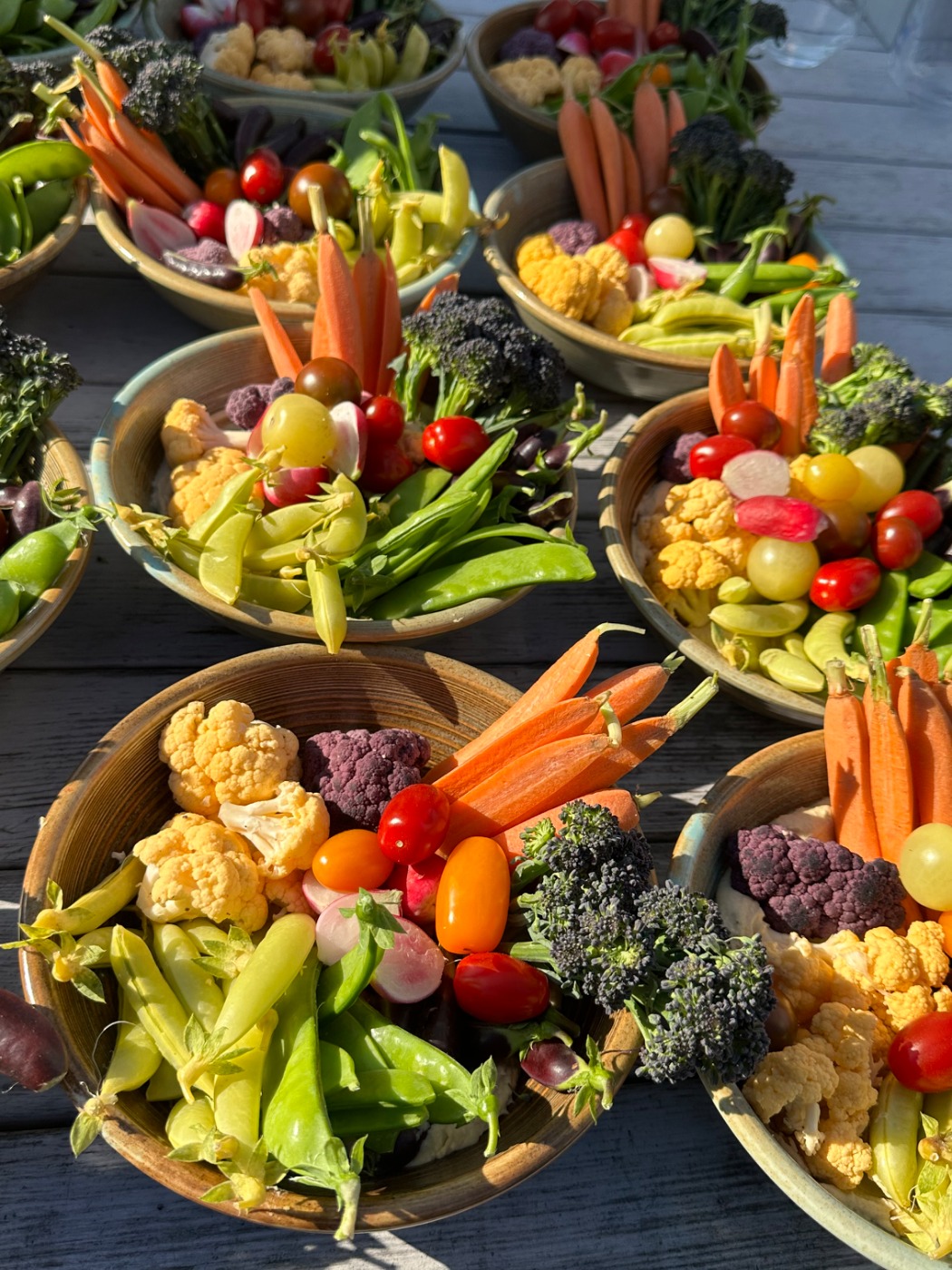 IMG_0830.jpeg IMG_0830.jpeg