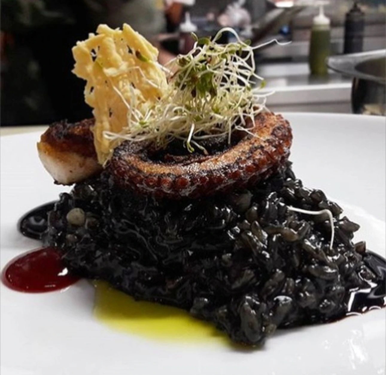 Risotto en tinta de calamar y pulpo al gril.jpg Risotto en tinta de calamar y pulpo al gril.jpg