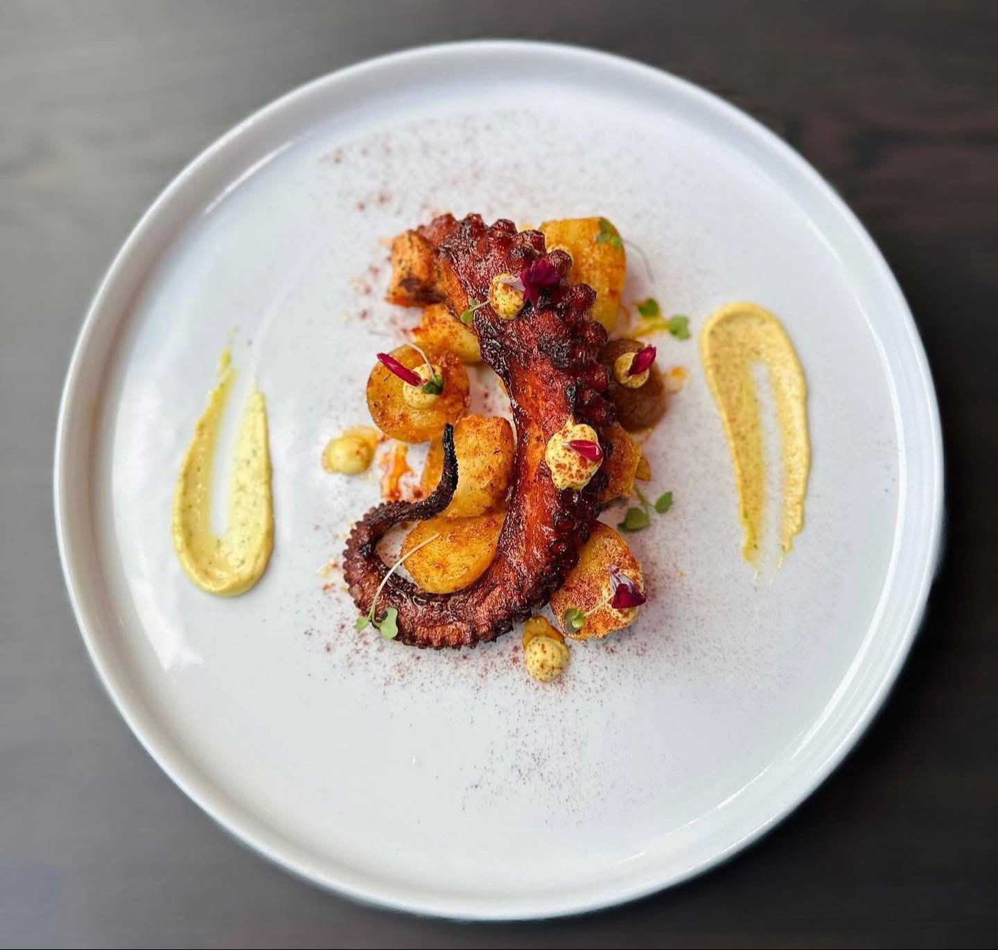 IMG_5880.jpeg IMG_5880.jpeg