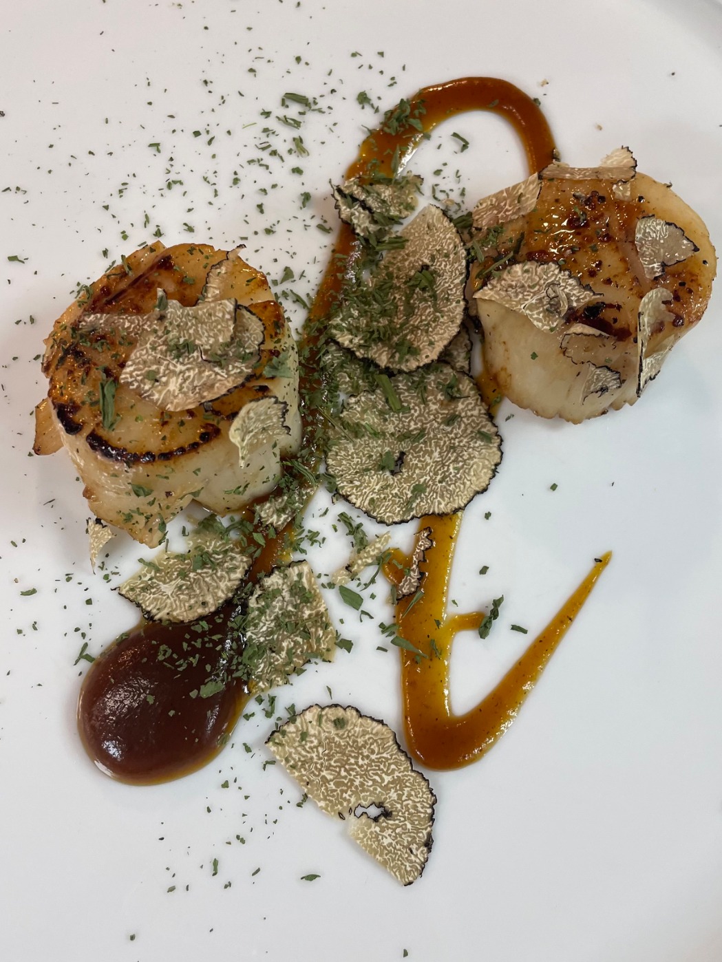 IMG_0692.jpeg IMG_0692.jpeg