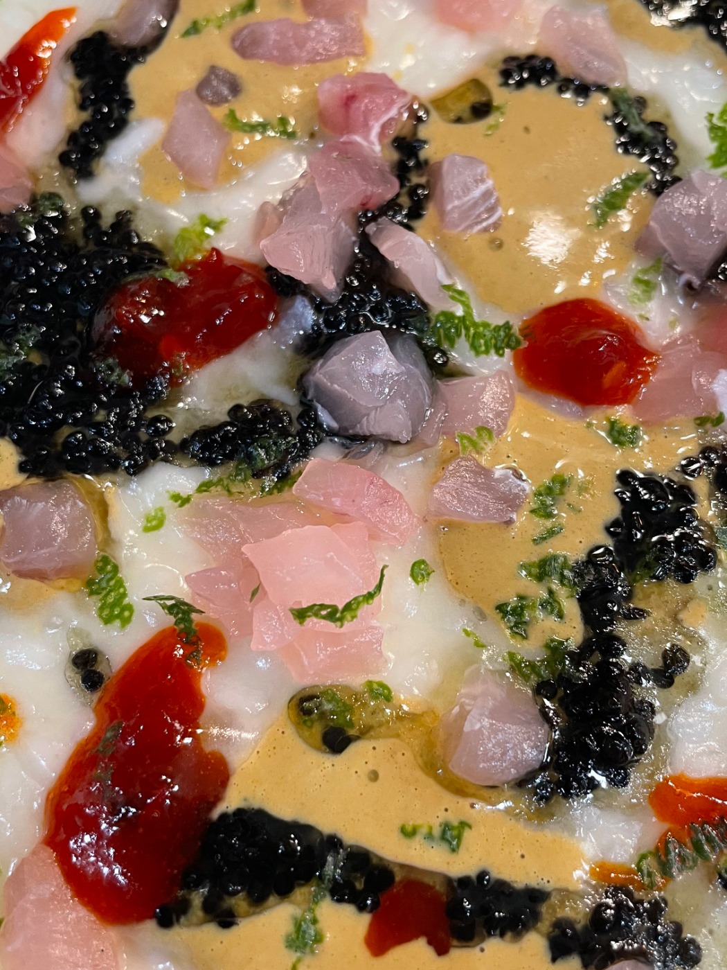 IMG_0037.jpeg IMG_0037.jpeg