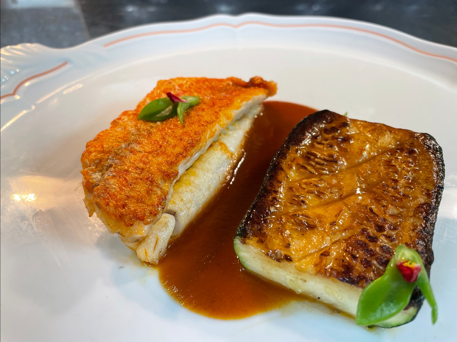 IMG_0891.jpeg IMG_0891.jpeg